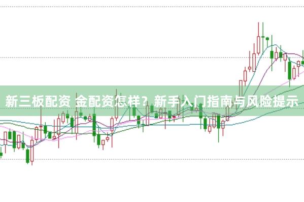 新三板配资 金配资怎样？新手入门指南与风险提示
