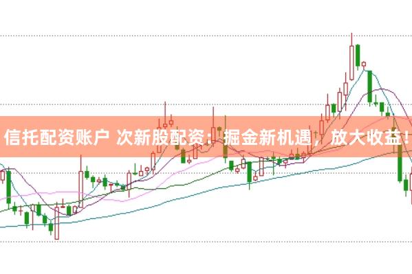 信托配资账户 次新股配资:掘金新机遇,放大收益!