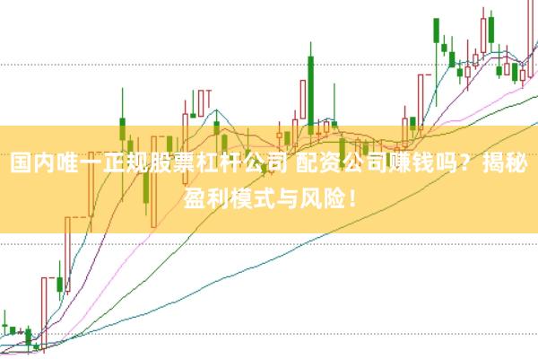 国内唯一正规股票杠杆公司 配资公司赚钱吗？揭秘盈利模式与风险！