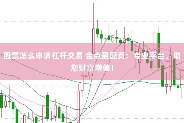 股票怎么申请杠杆交易 金点盈配资:专业平台,助您财富增值!