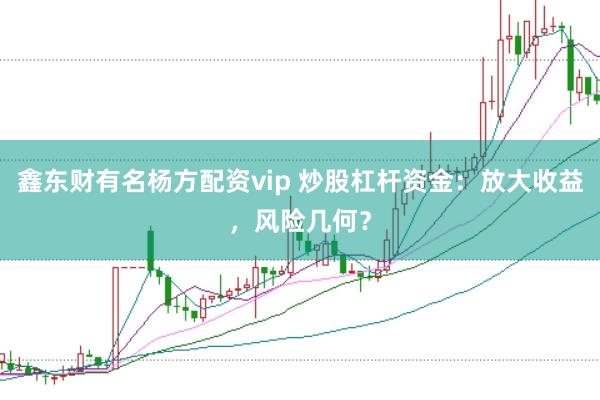 鑫东财有名杨方配资vip 炒股杠杆资金：放大收益，风险几何？