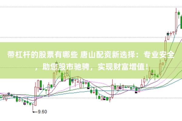 带杠杆的股票有哪些 唐山配资新选择：专业安全，助您股市驰骋，实现财富增值！
